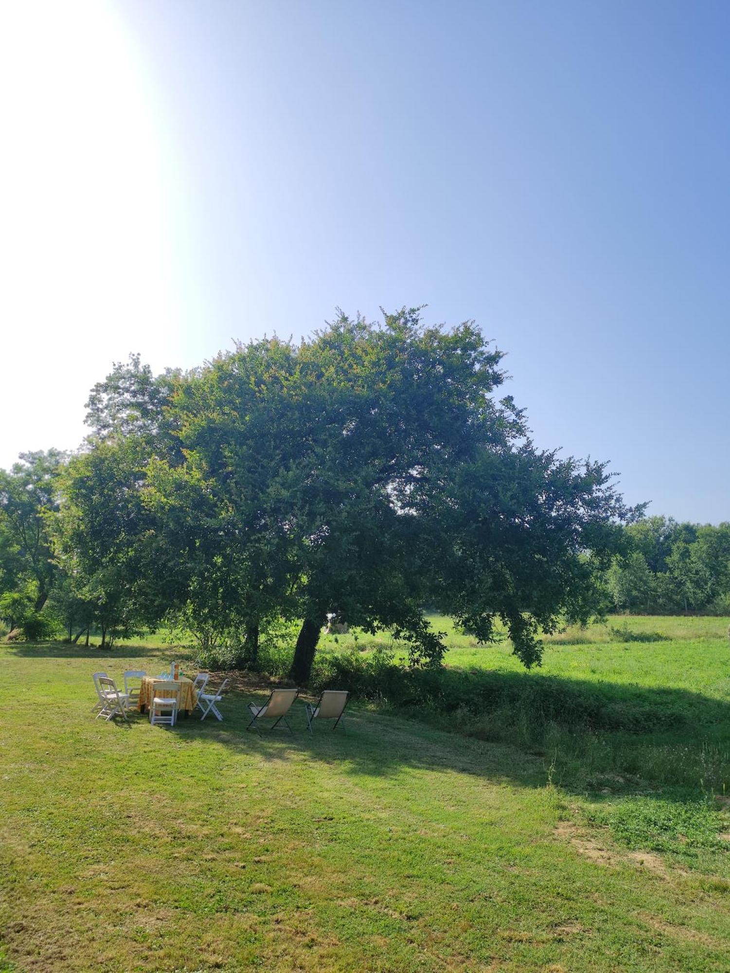 Appartamento Il Picchio Verde Altopascio Exterior photo